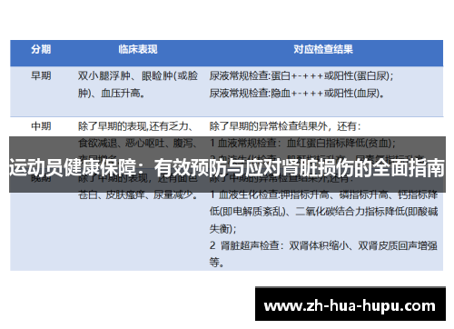 运动员健康保障：有效预防与应对肾脏损伤的全面指南