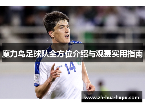 魔力鸟足球队全方位介绍与观赛实用指南